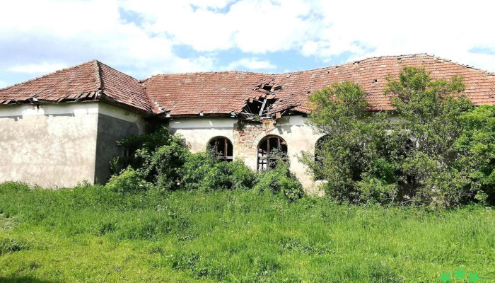 Comuna Panticeu -  Prețuri - Romania