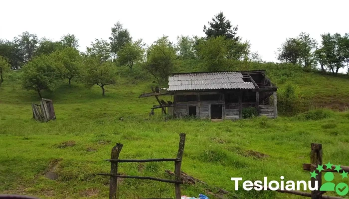 Comuna Petrova - Romania