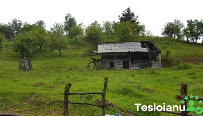 Comuna Petrova -  Telefon - Romania