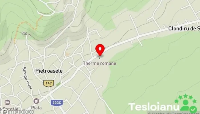 hartă a Comuna Pietroasele  în 
