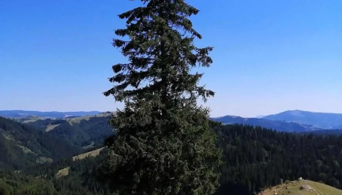 Comuna Poduri -  Munte - Romania