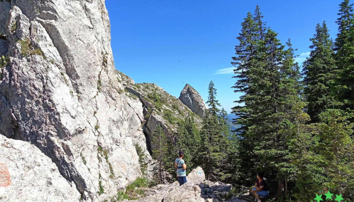 Comuna Pojorata Locație - Romania