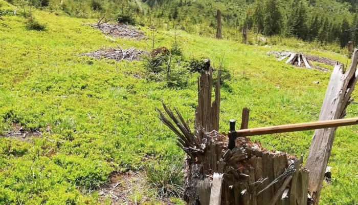 Comuna Pojorata Munte - Romania