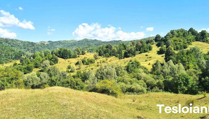 Comuna Provita De Sus Deschis Acum - Romania
