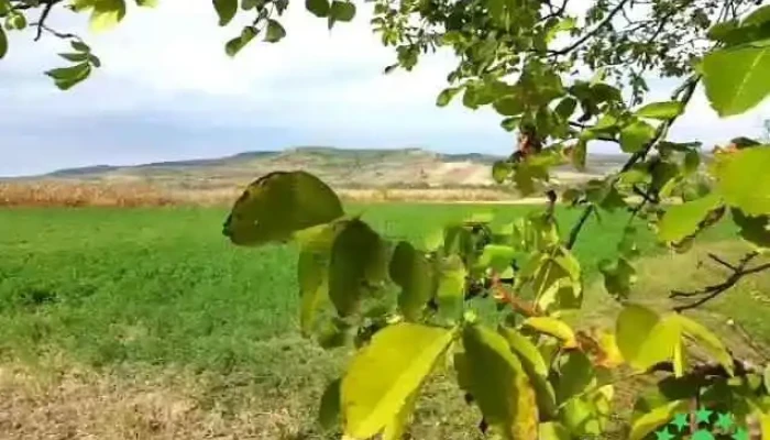 Comuna Rabagani Videoclipuri - Romania