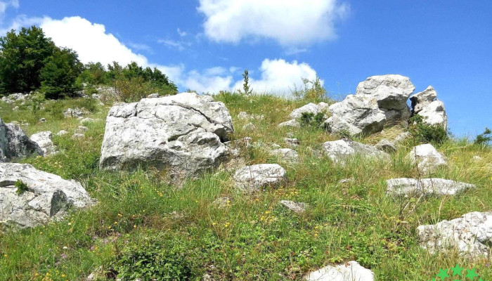Comuna Ramet Munte - Romania