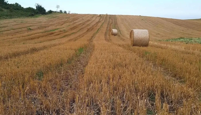 Comuna Robanesti Comentarii - Romania