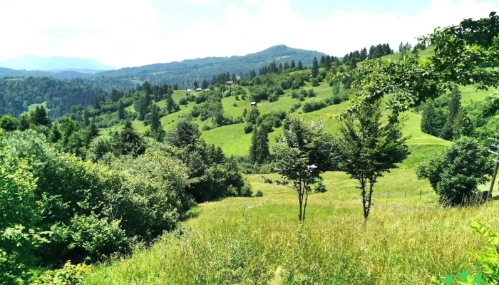 Comuna Romuli -  Site Web - Romania