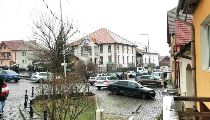 Comuna Sadu -  Program - Romania