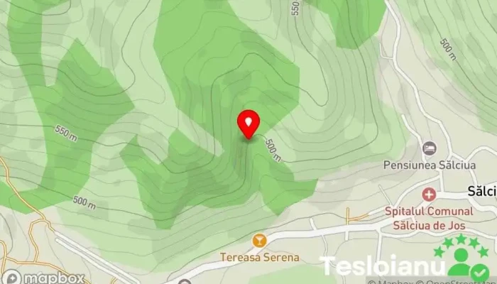 hartă a Comuna Sălciua  în 
