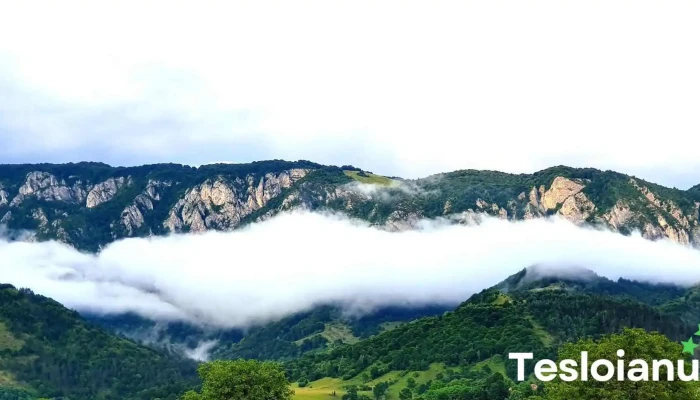Comuna Salciua Munte - Romania
