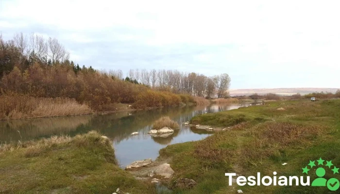 Comuna Scheia Telefon - Romania