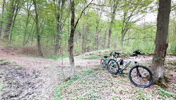 Comuna Schitu Duca -  Street View Si 360deg - Romania