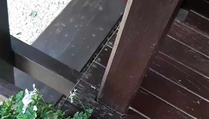 Comuna Sinca Telefon - Romania