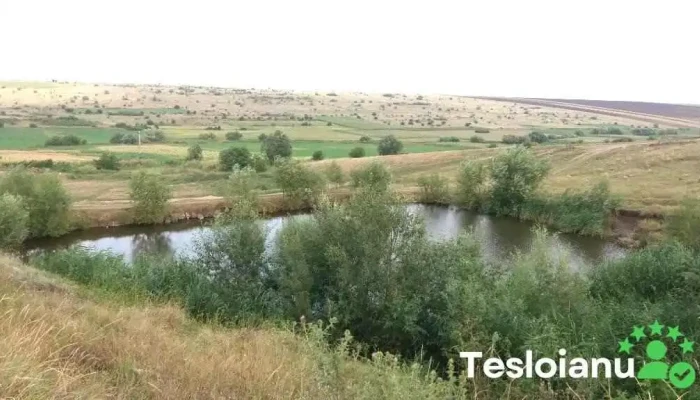 Comuna Smulti Aproape De Mine - Romania