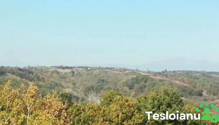 Comuna Stejari -  Comentarii - Romania