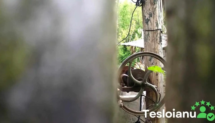 Comuna Terpezita Videoclipuri - Romania