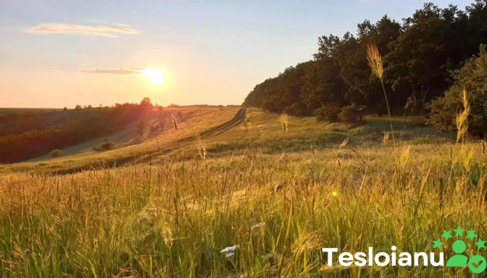 Comuna Terpezița - Romania