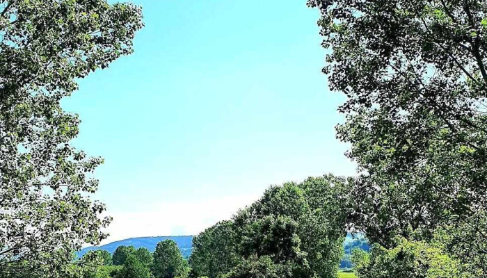 Comuna Ticvaniu Mare -  Fotografii - Romania