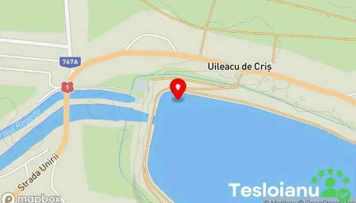hartă a Comuna Tileagd  în 