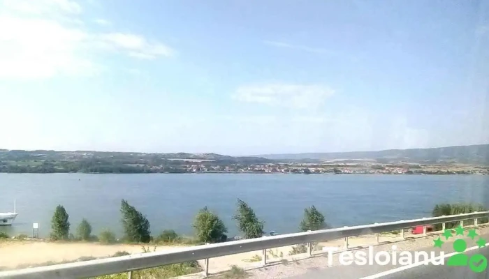 Comuna Toplet Videoclipuri - Romania