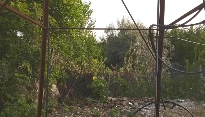 Comuna Visani Reduceri - Romania