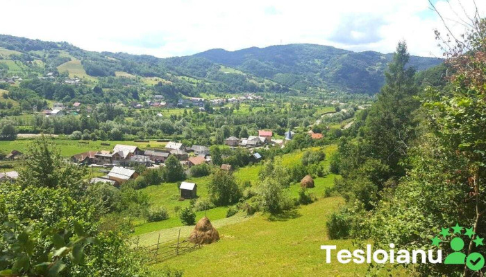 Comuna Viseu De Jos Zonă - Romania