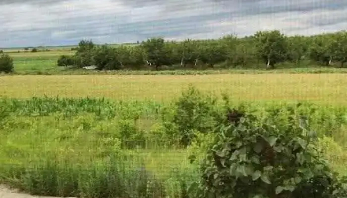 Comună Adunaţii-copăceni - Romania