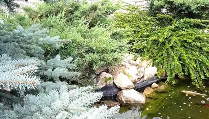 Conacul Ambient -  Exterior - Cristian