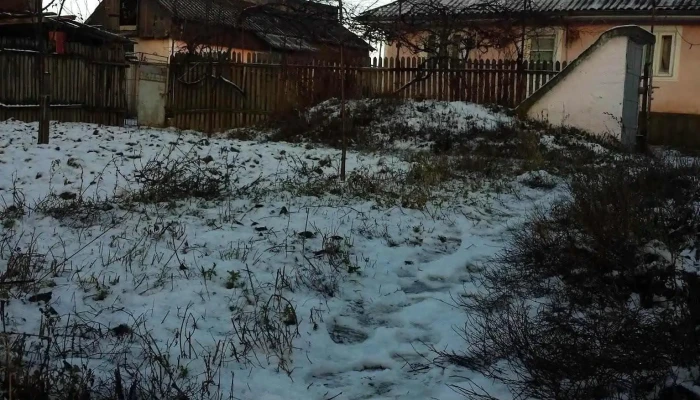 Contesti Promoție - Conțești