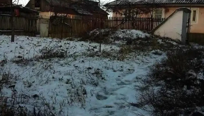 Conțești - Conțești