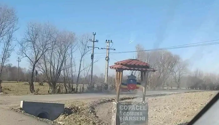 Copacel Videoclipuri - Copăcel