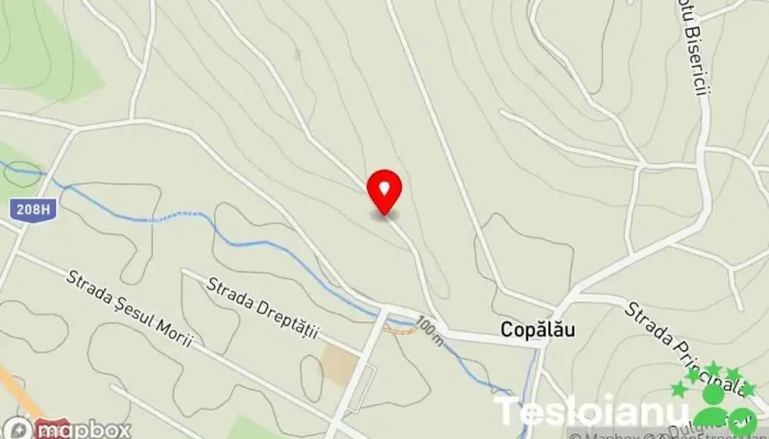 hartă a Copălău  în Copălău