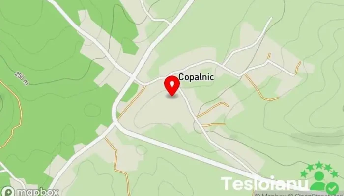 hartă a Copalnic  în Copalnic