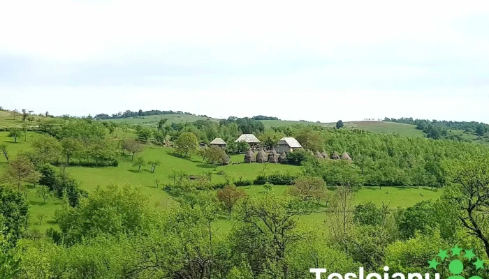 Copalnic -  Manastur Prețuri - Copalnic-mănăștur