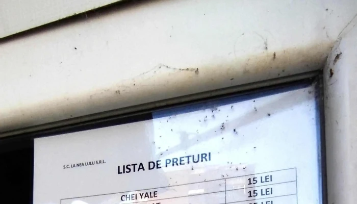 Copiat Chei -    Ascutit Cutite Valcea Recenzii - Râmnicu Vâlcea