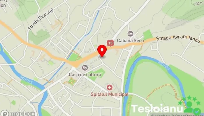 hartă a Copiere chei Toplita Deblocari auto Servicii de duplicare chei, Serviciu de lăcătușerie de urgență, Lăcătuș în Toplița