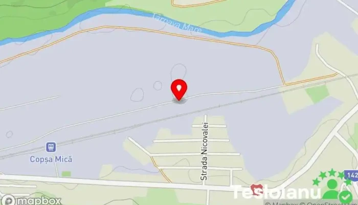 hartă a Copșa Mică  în Copșa Mică