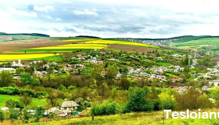 Corbasca - Corbasca
