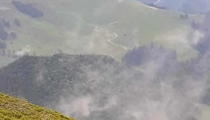 Cormaia -  Munte - Romania