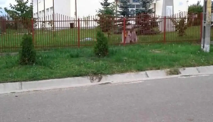 Corni -  Albesti Program - Corni-albești
