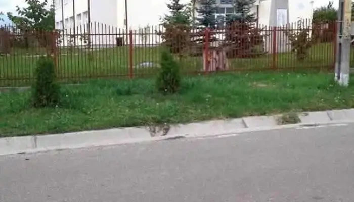 Corni-Albești - Corni-Albești