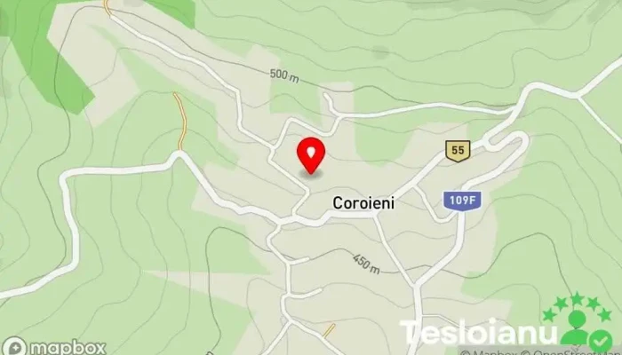 hartă a Coroieni  în Coroieni