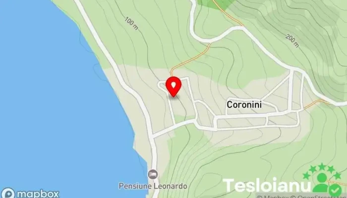 hartă a Coronini  în Coronini
