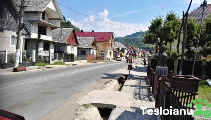 Cosbuc Site Web - Coșbuc