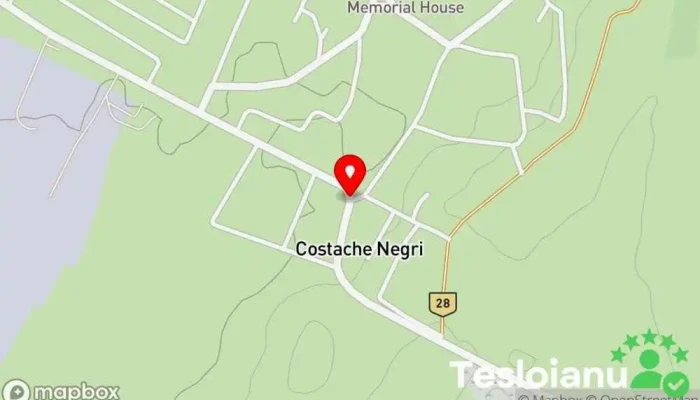 hartă a Costache Negri  în Costache Negri