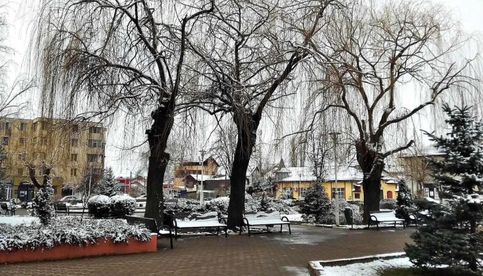 Costesti Număr - Costești