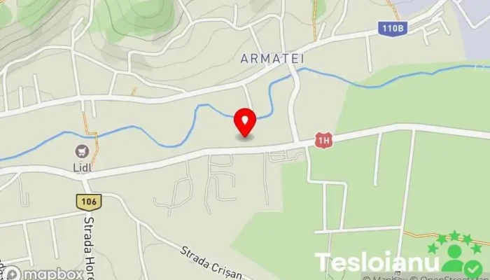 hartă a Coștiui S.R.L. Contractant de lucrări pe bază de coli metalice în Șimleu Silvaniei