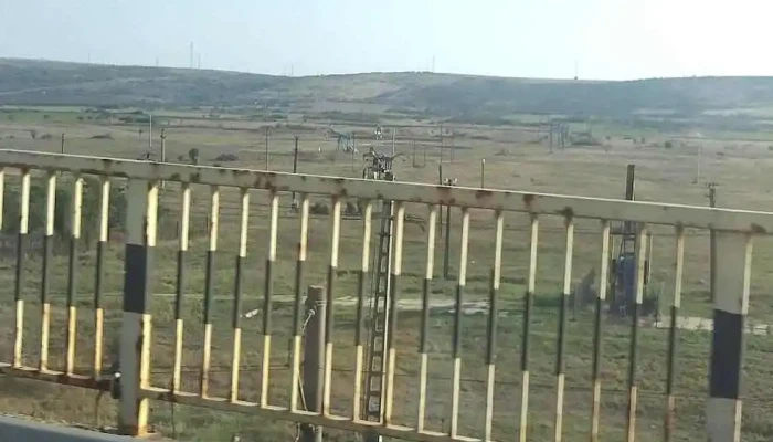 Cotofenii Din Fata Telefon - Coţofenii Din Faţă