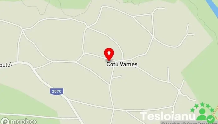 hartă a Cotu Vameș  în Cotu Vameș
